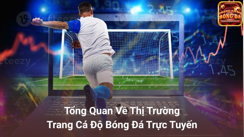 Trang cá độ bóng đá là gì?