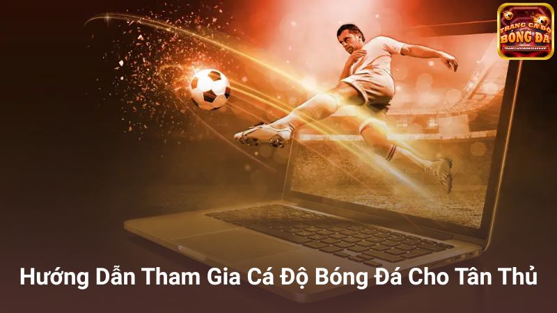 Hướng dẫn chọn trang cá độ bóng đá uy tín cho người mới