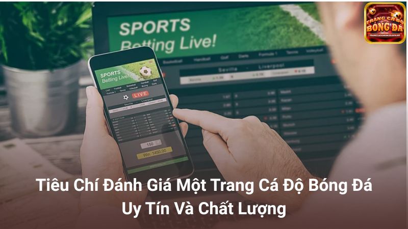 Tiêu chí đánh giá trang cá độ bóng đá uy tín